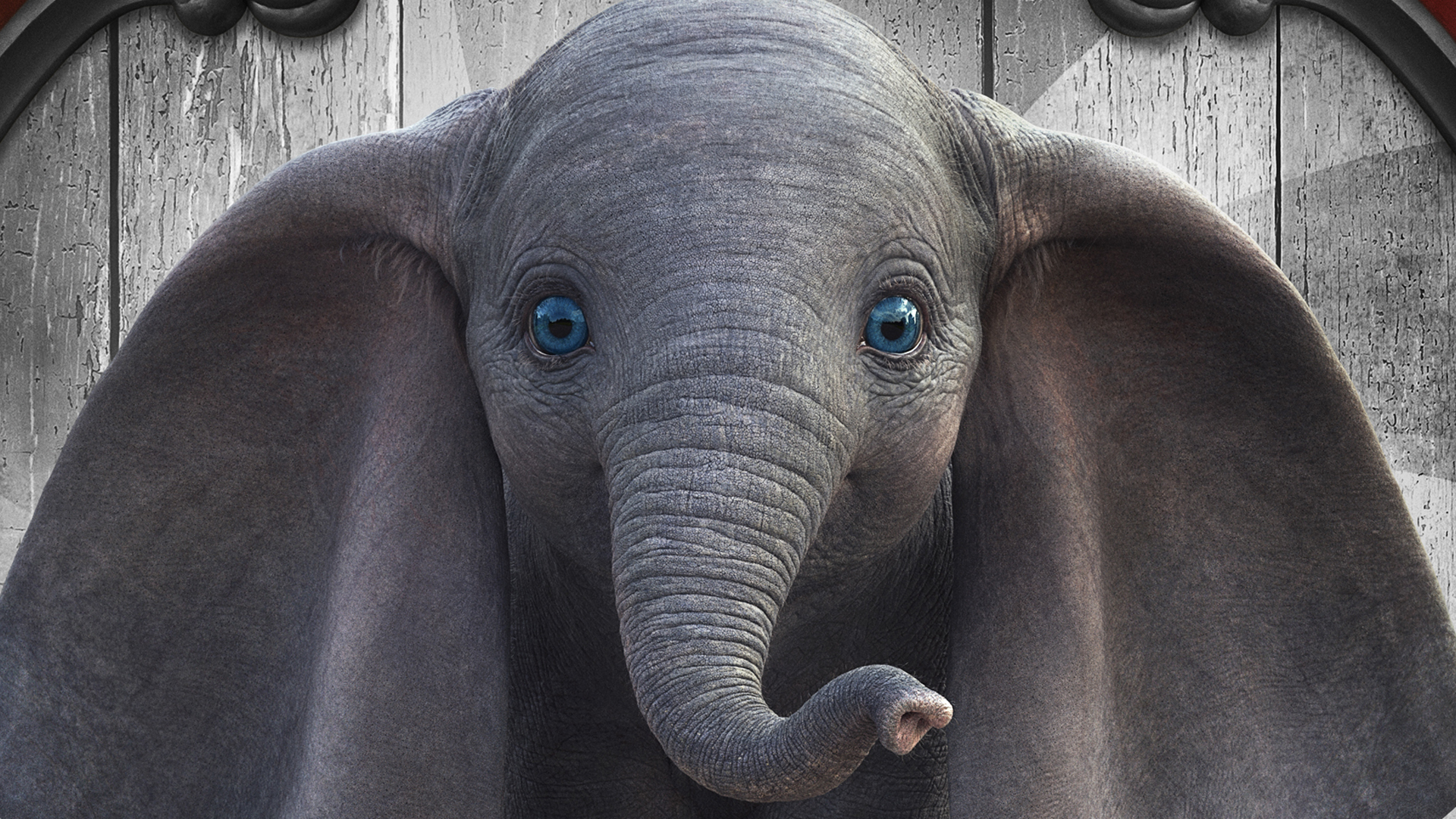 Ep. 389: Elephantastic